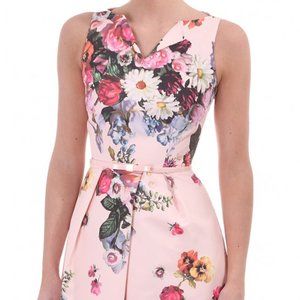 Ted Baker deavon peach oil painting dress